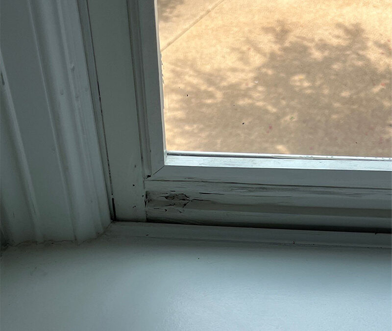 When to Replace Your Windows: A Guide for Texas Homes Over 25 Years Old