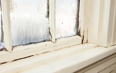 When to Replace Your Windows: A Guide for Texas Homes Over 25 Years Old