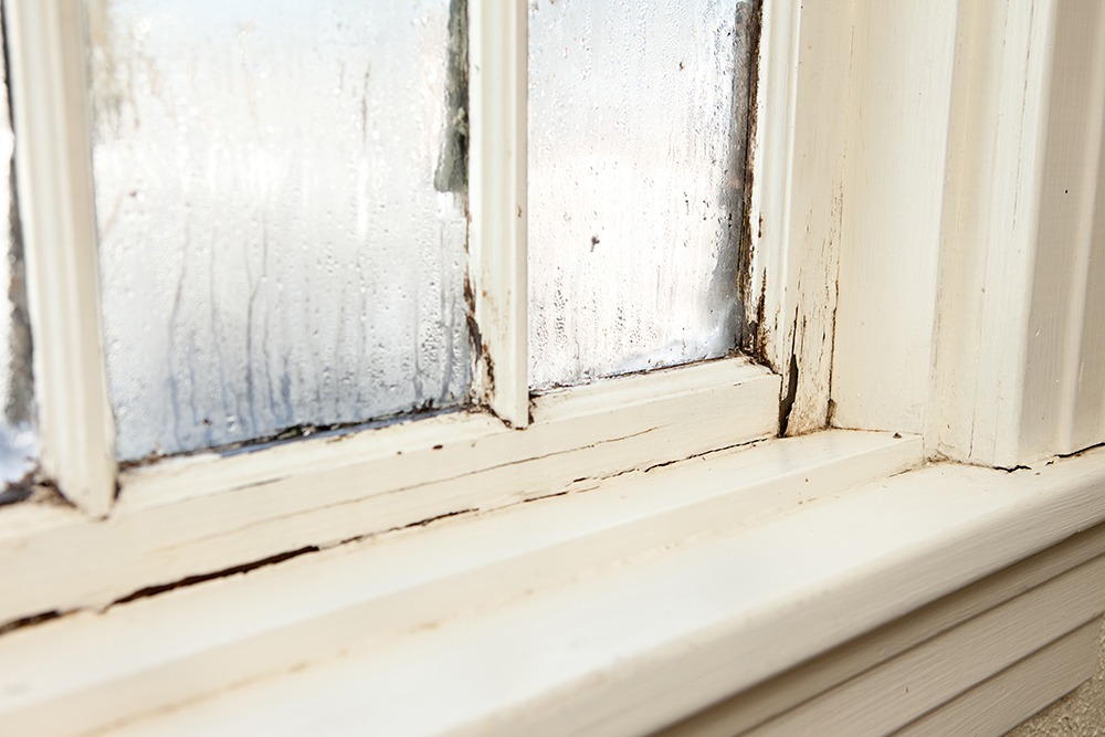 When to Replace Your Windows: A Guide for Texas Homes Over 25 Years Old