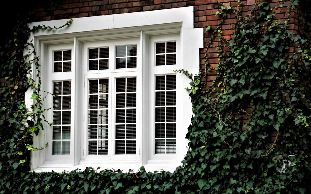 Grids or No Grids in Window Replacement: Finding the Right Style for Your Home