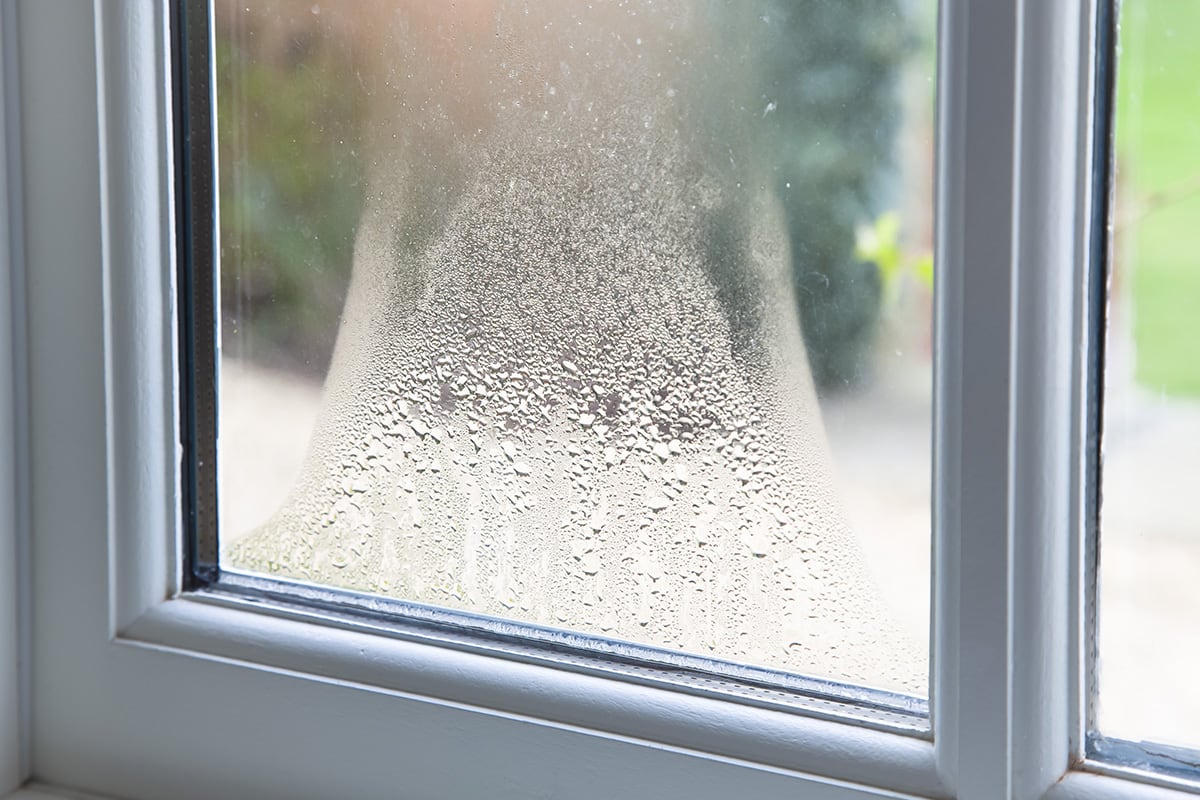 when to replace your windows window replacement 