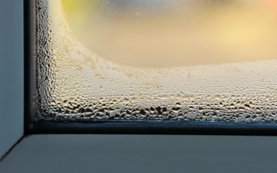 7 Secrets to Crystal-Clear Windows: No More Moisture on Windows! 