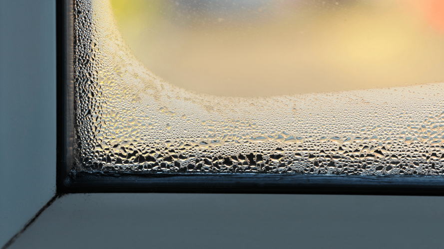 moisture on windows