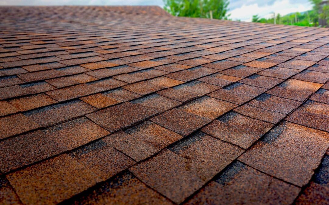shingle roof install