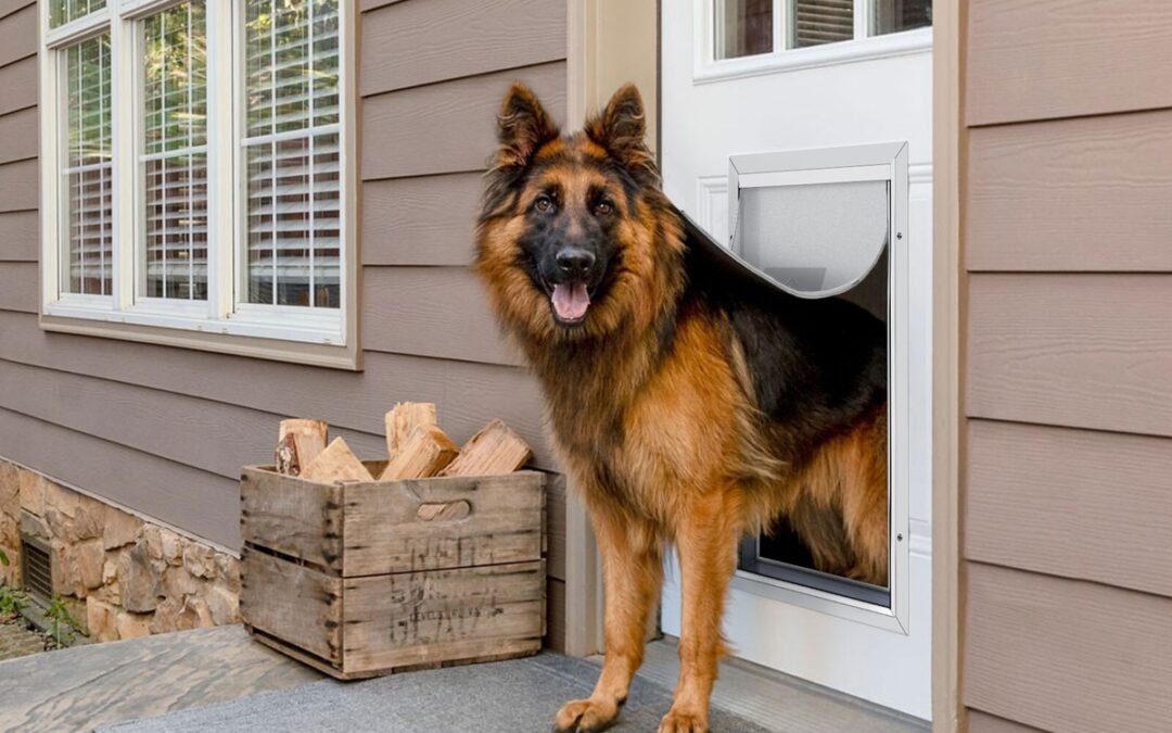 exterior door with dog door in austin door replacement door installation imperium exteriors