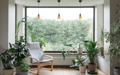 7 Versatile & Stunning Window Styles for Austin Homes: The Optimal Guide for 2026